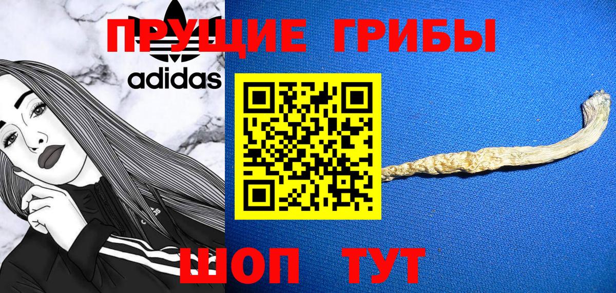 Галлюциногенные грибы MAGIC MUSHROOMS  Вход с VPN  Галлюциногенные грибы Psilocybine cubensis  Ялуторовск 