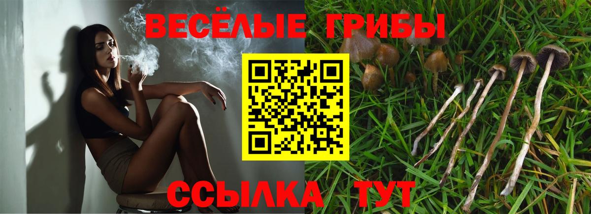 Галлюциногенные грибы MAGIC MUSHROOMS Ялуторовск